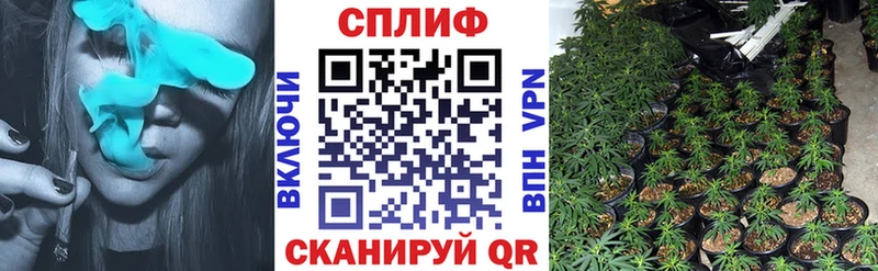 Виды наркоты Няндома Амфетамин Мефедрон Псилоцибиновые грибы Конопля