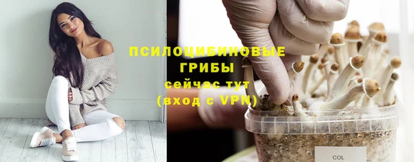 скорость Белокуриха