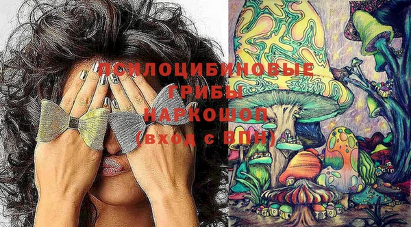 скорость Белокуриха