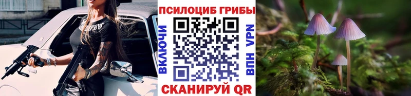 наркота  Няндома  Галлюциногенные грибы Psilocybe 